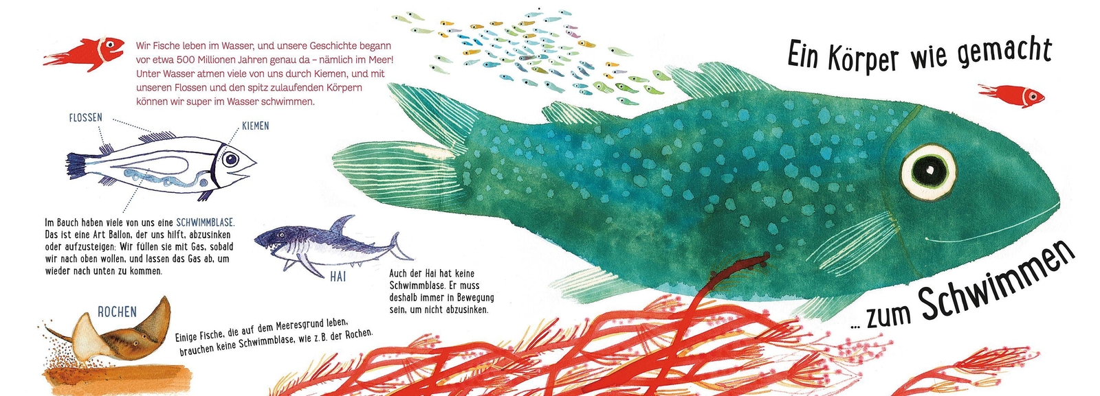 Thumbnail - Lerne Uns Kennen - Die Fische | Lucia Scuderi | Deutsch | Buch | 40 S.