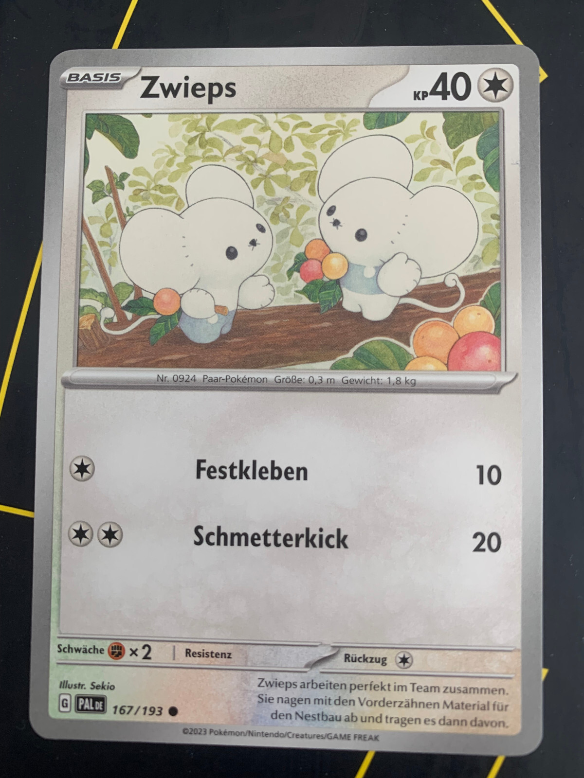 Bild 434 von 495