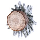 Winter Home Decor Mini Tree Decorations Miniature Trees Holiday DIY Crafts