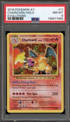 Pokemon Charizard XY Evolutions Holo Rare #11 PSA 8