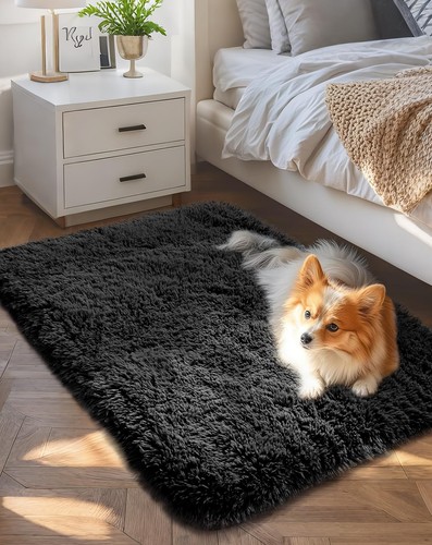 Kleine schwarze Eingangsbereich Überwurf Teppiche für Schlafzimmer, 2x3 Mini Vorleger, erschwinglich Nr...