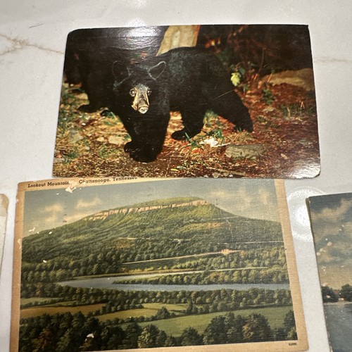 Lotto 13 cartoline d'epoca anni 1945-1950, lino - Foto 5 di 18