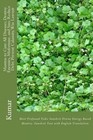Mantras to Cure All Diseases; Destroy Enemies, Misfortune, and Sins; Reduce Debt; Prevent Calamity, Win Lawsuit: Most Profound Vedic Sanskrit Divine Energy Based Mantra: Sanskrit Text with English Translation by Professor Kumar (Paperback / softback, 2013)