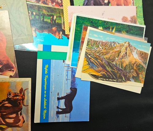 CABALLOS y MÁS - LOTE DE POSTALES VINTAGE - CON CANCELACIONES - Imagen 8 de 8