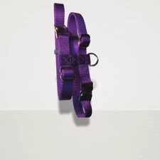 Adjustable Hog (PIG) Harness With leash 2 Metal Buckle Easy On Carter Pet Supply