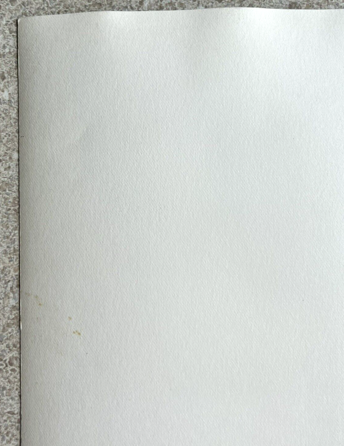 Bild 8 von 9