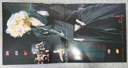 MADONNA BLOND AMBITION WORLD TOUR PA-90-325 Laserdisc LD Used w/Tracking No. - Picture 4 of 6