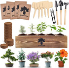 Bonsai Tree Kit – 5Pack Complete Indoor Starter Kit with 5 Unique Japanese Bonsa