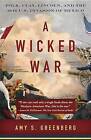 A Wicked War: Polk, Clay, Lincoln, and the 1846 U.S. Invasion of Mexico by University Amy S Greenberg (Paperback, 2013)