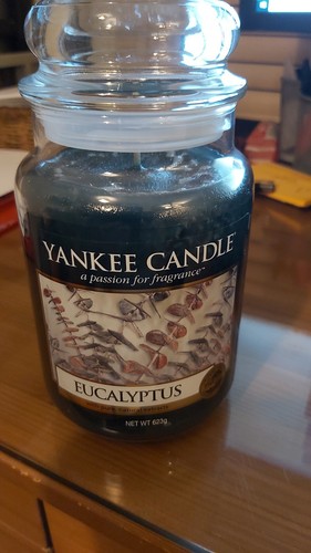 Yankee Candle Large Jar "Eucalyptus" 623g Brand New HTF White Label EU