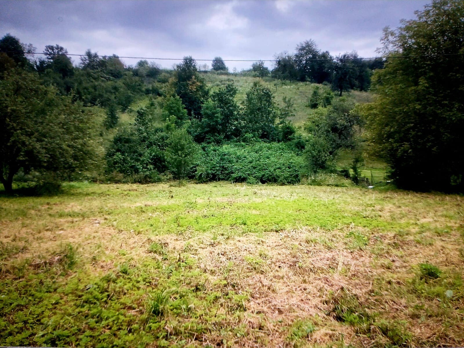Bild 10 von 21