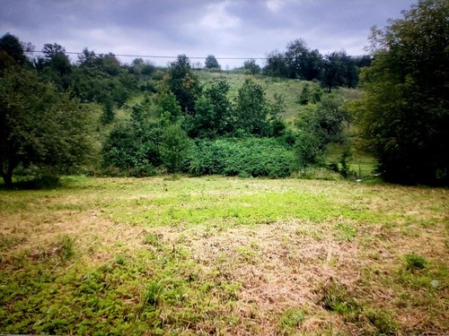 Huge plot of land for private or investment - Bild 10 von 21