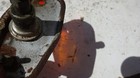 Bild 9 von 10