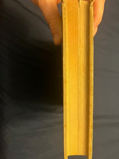 Bild 13 von 16
