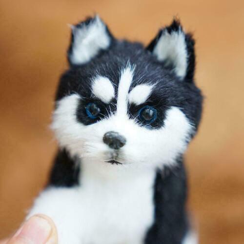 Realistic Husky Dog Simulation Toys Dog Puppy Lifelike New Stuffed Toys Hot~ - Picture 2 of 10
