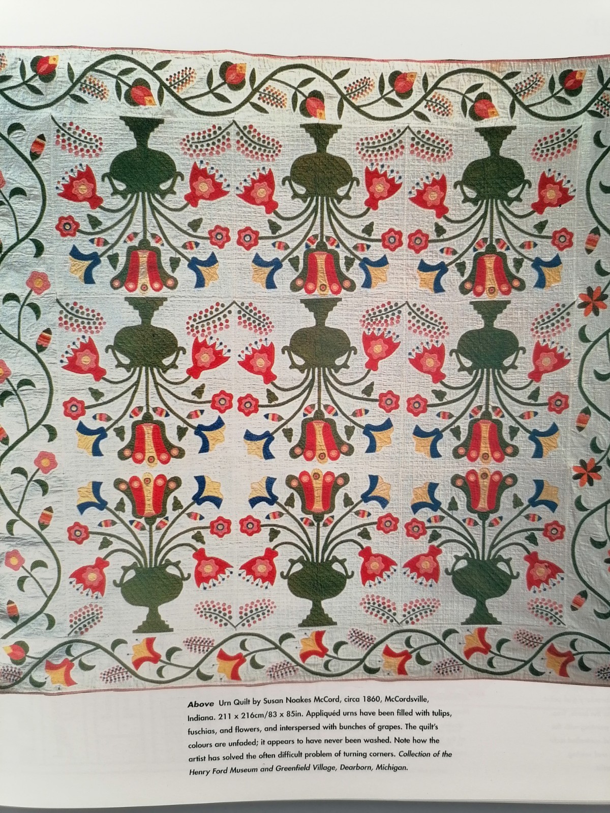 Picture 11 of 22