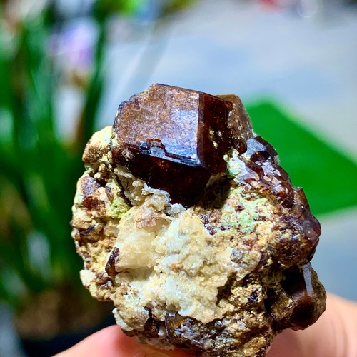 20G Natural Garnet Crystal Ore Mineral Crystal Specimen Museum Grade - Picture 14 of 14