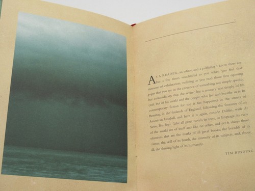 At Swim, Two Boys *SIGNED* JAMIE O'NEILL 2001 1st Edition First Printing - Picture 10 of 11