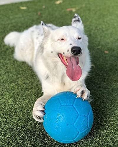 Jolly Pets Soccer Ball Blue 8 inch Unscented Rubber Chew Toy for Dogs - Picture 5 of 7