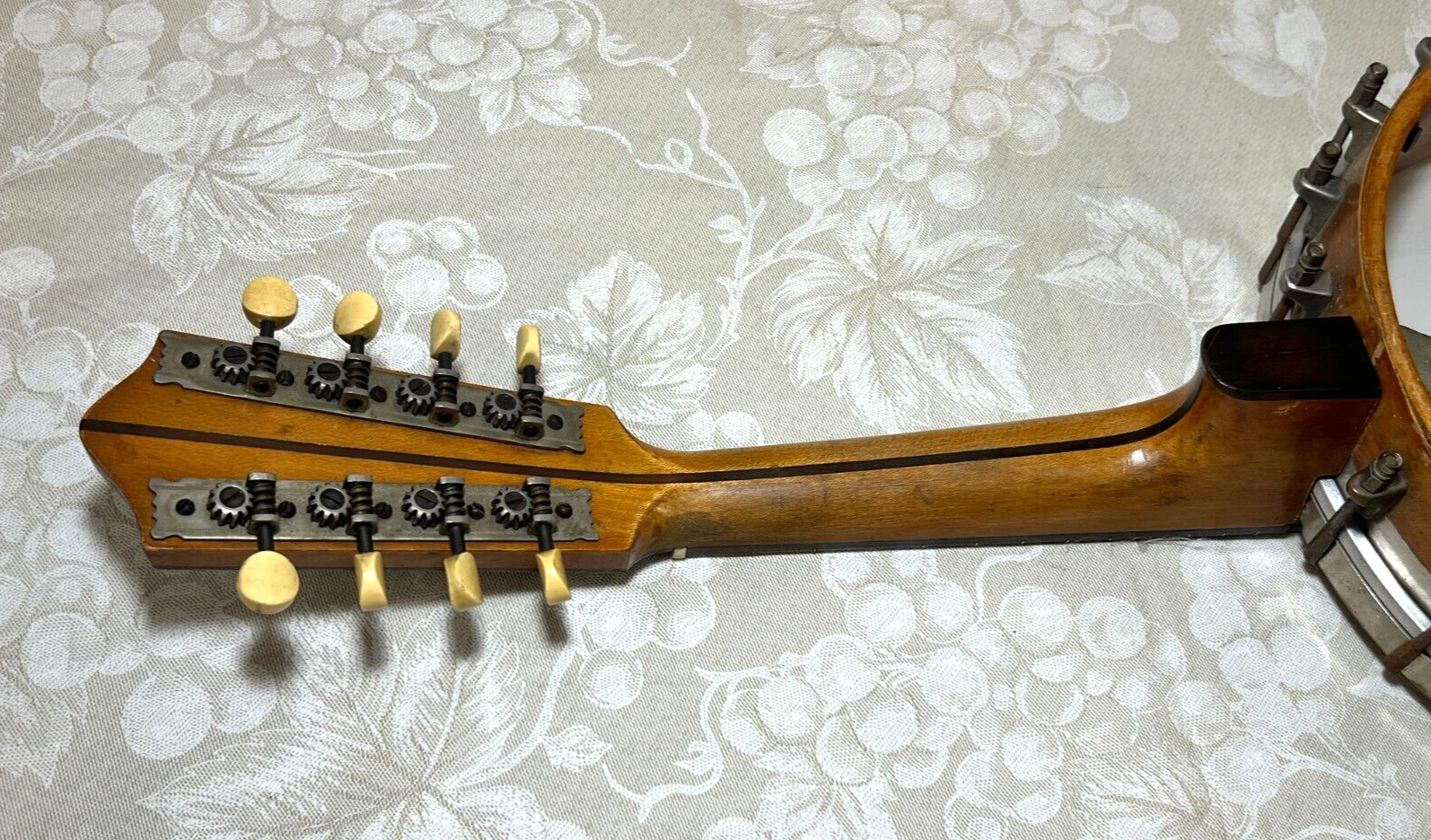 Foto 20 di 20