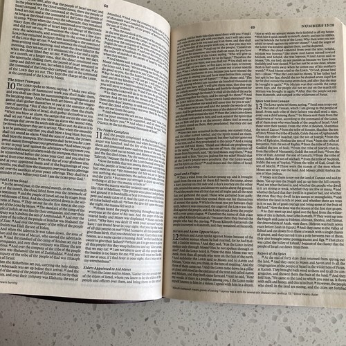 The HOLY BIBLE English Standard Version EVS Crossway Softcover Maroon 2016 - Foto 14 di 23