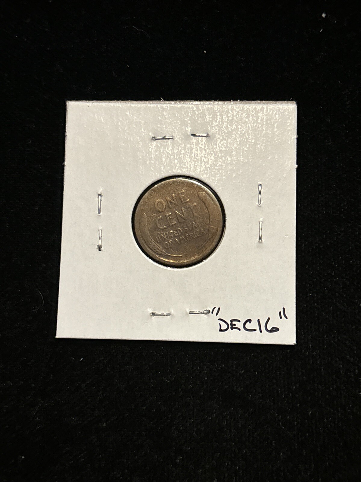 Picture 12 of 14