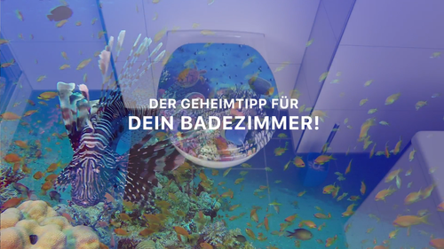 WC SITZ TOILETTENDECKEL KLODECKEL DECKEL KLOBRILLE TOILETTENSITZ BRILLE MOSAIK - Video 1 von 1