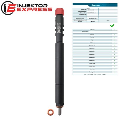 EJBR04501D Delphi Injektor Ssang Yong Actyon 2.0 Xdi A6640170121