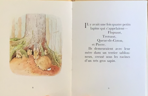 VG 1973 HC DJ French Edition Peter Rabbit Pierre Lapin Beatrix Potter - Picture 6 of 11
