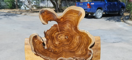 Teak BURL LUMBER Natural Slab Live Edge DIY Resin Epoxy Table Top Wood Work - Video 1 of 1