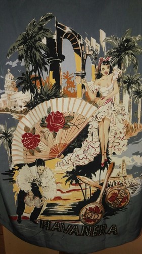 Neu mit Etikett The Havanera Button Down Hemd Tropical Ritmo Shirt Größe XL blau  - Bild 3 von 9