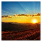 Foto 4 di 26