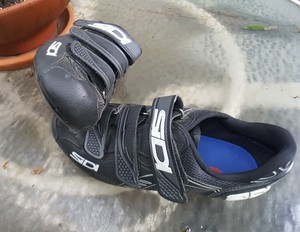 sidi 40.5