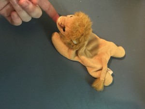beanie baby roary the lion