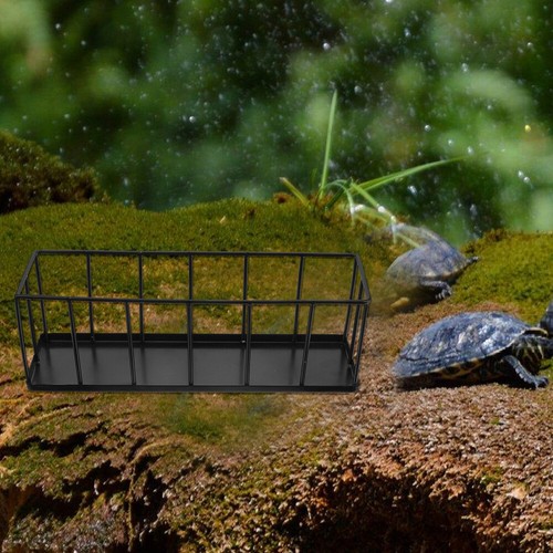 Reptile Feeding Bowl Tortoise Feeder Stainless Steel Reptile Feeding Bowl - Picture 12 of 12