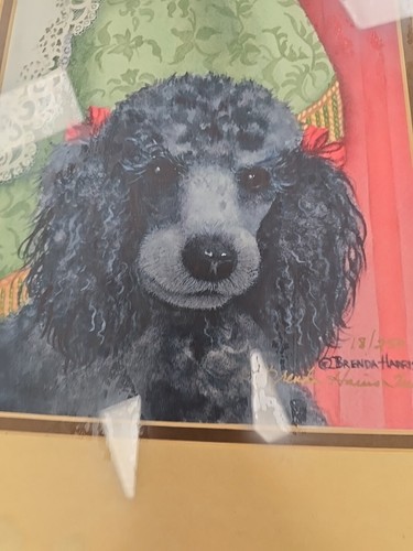 Black Poodle 18/250 Framed Brenda Harris Tustian - Picture 4 of 16