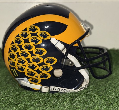 〽️ 🏟️ Michigan Wolverines - U of M - AIR Football Helmet - #21 Desmond Howard - Picture 1 of 24