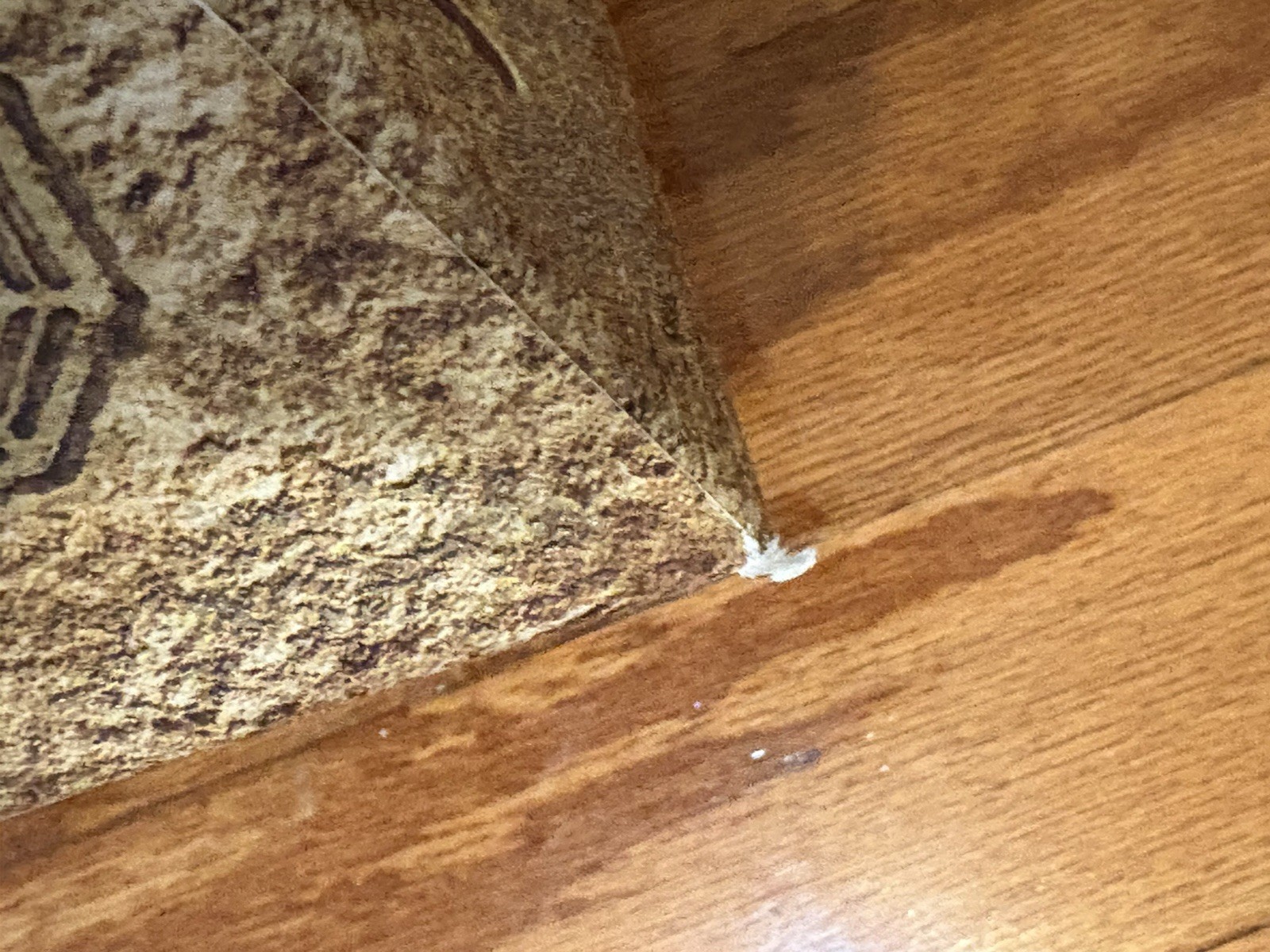 Picture 20 of 24