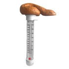 Spoof Poo Pool Thermometer Float Thermometer Floating Garden Water Temperature