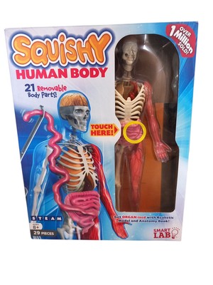 SmartLab Squishy Human Body - SL06428 Pinzette und Pinzette fehlen