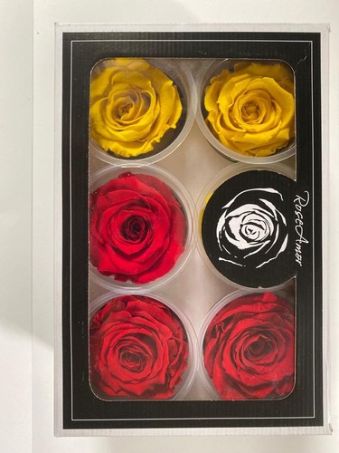 Scatola ROSA VERA Stabilizzata , 6 pz, Rose Stabilizzate, Rosse - Blu - Foto 29 di 29