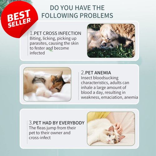 Pets4Luv Flea & Tick Collar for Cats – Natural 8 Mths Protection, Waterproof, 3P - Picture 6 of 12