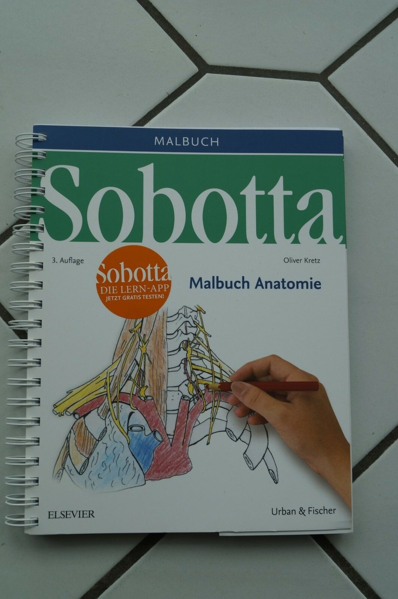 健康・医学 Sobotta Malbuch Anatomie Sobotta Malbuch Anatomie - 9783437412646