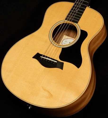 Taylor Guitars  GS Mini Sapele