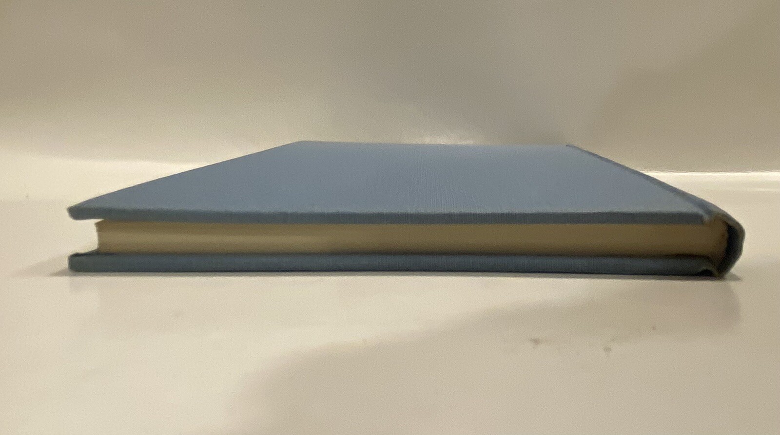 Foto 11 di 14