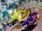 Bild 9 von 10