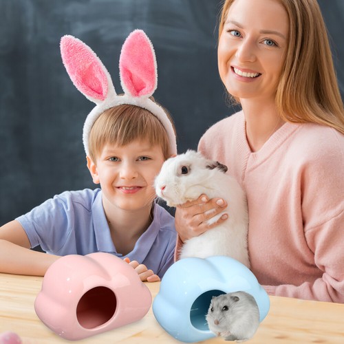 2 pièces céramique lisse en forme de nuage maison hamster céramique cache souris remise rat
