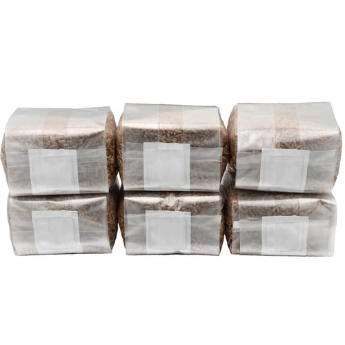 Sterilized Rye Berry Grain Spawn Bags | 6 Pack of One Pound Bags | Out Grow - Picture 6 of 8