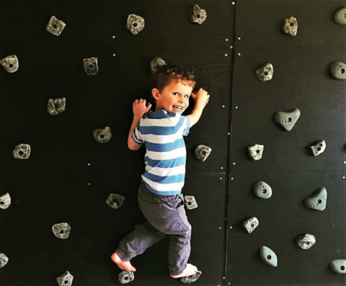 50 LARGE KIDS ROCK CLIMBING WALL HOLDS. BOLT ONS WITHOUT Hardware - Picture 2 of 8