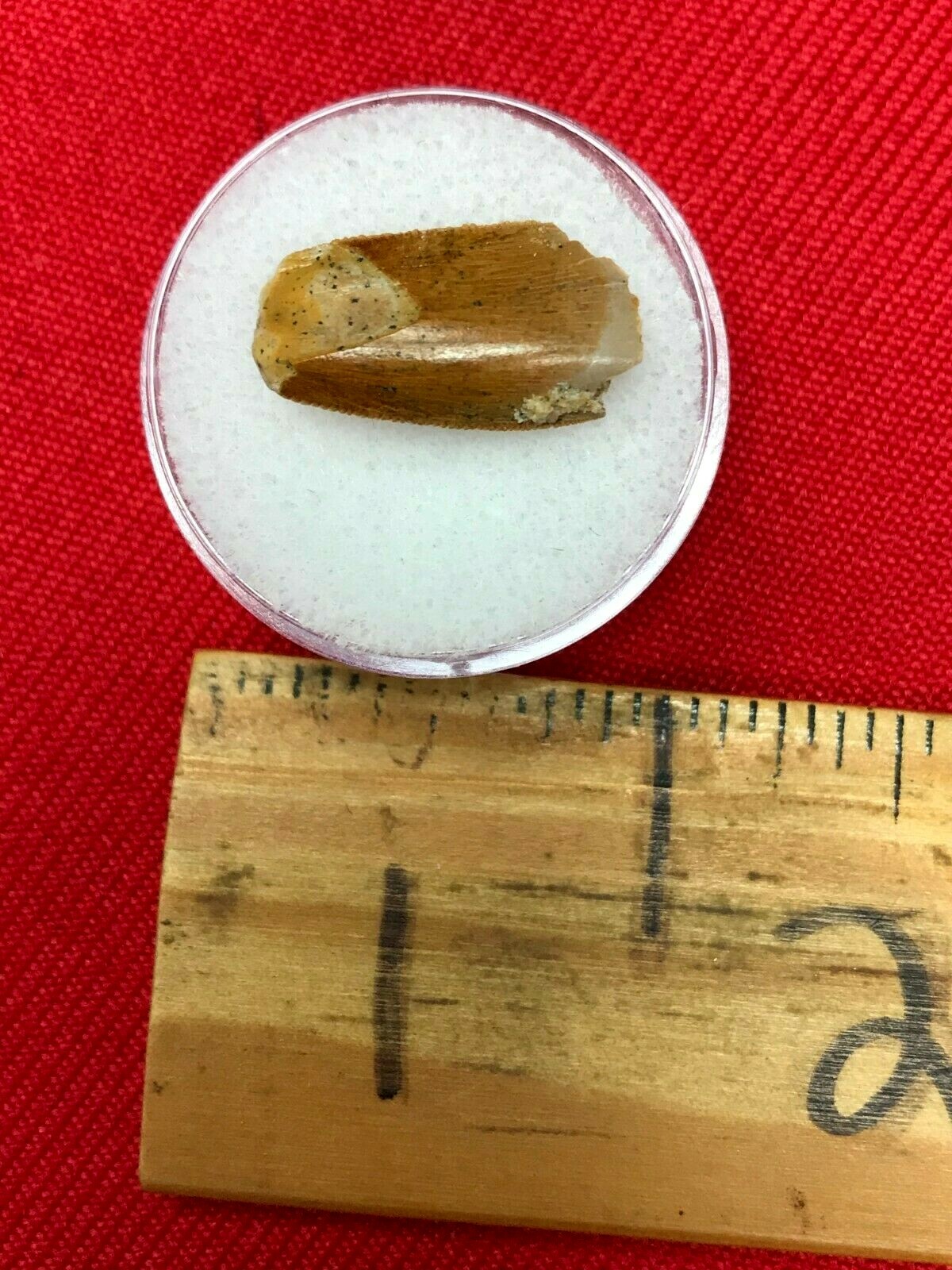 Picture 1 of 3